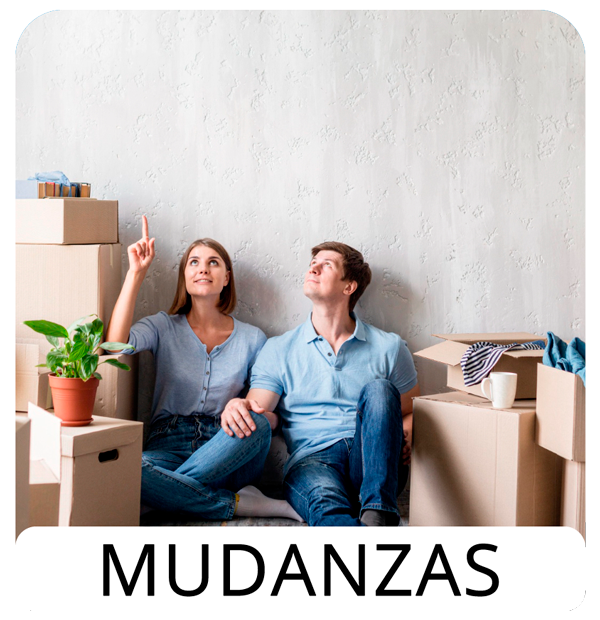 Mudanza profesional Saura